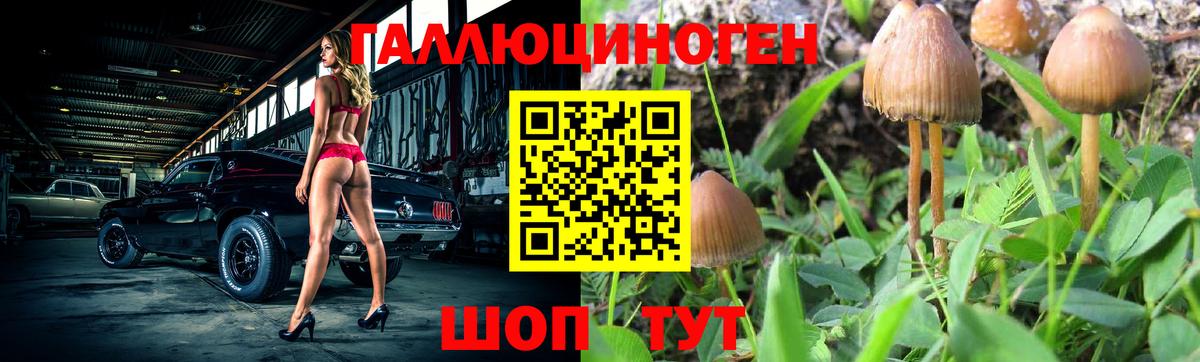 Галлюциногенные грибы мухоморы  Вход с VPN  Братск 