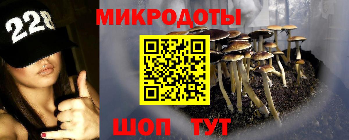 Псилоцибиновые грибы мицелий Братск